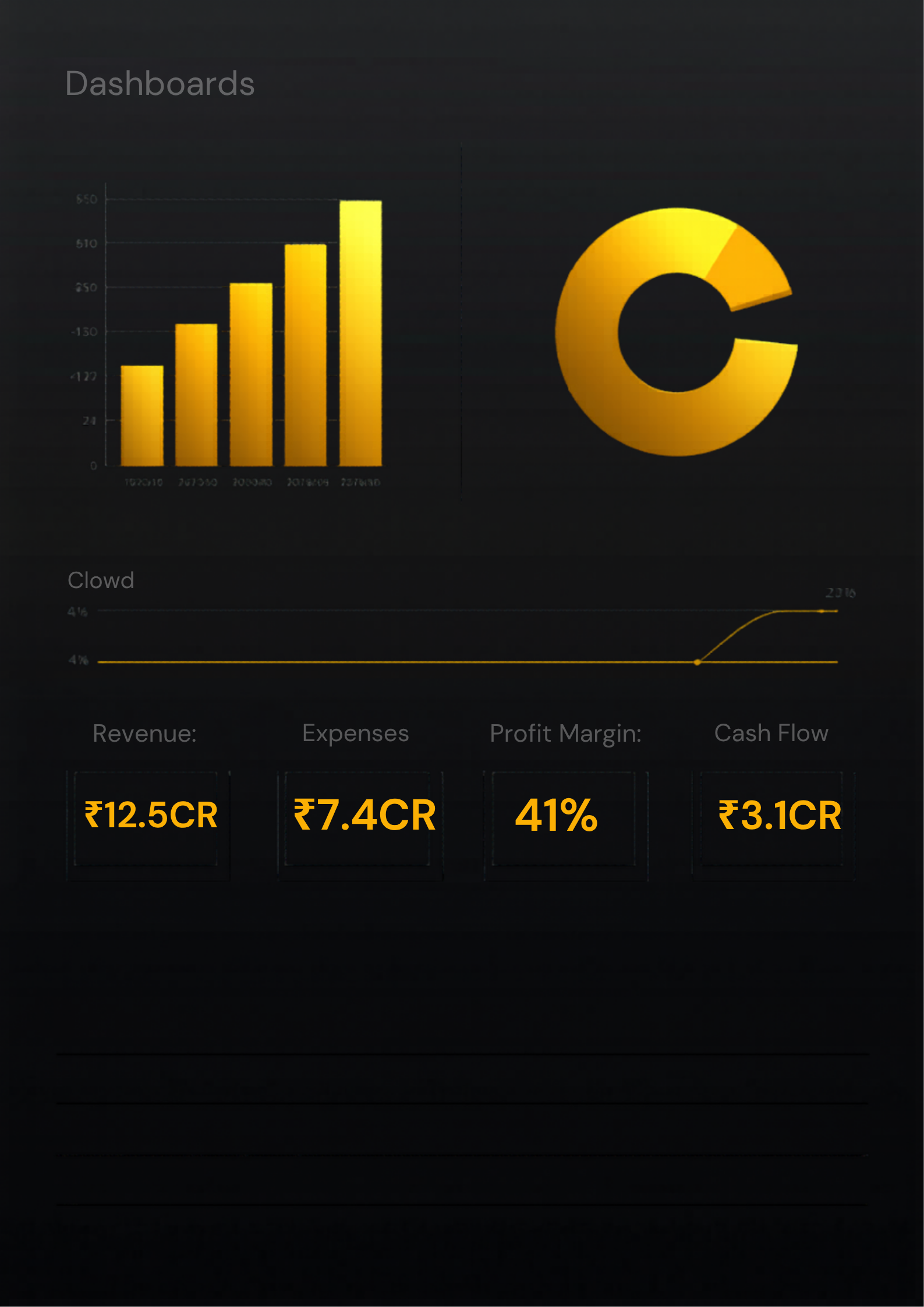 MIS Financial Dashboard — JAS Corporate Solutions